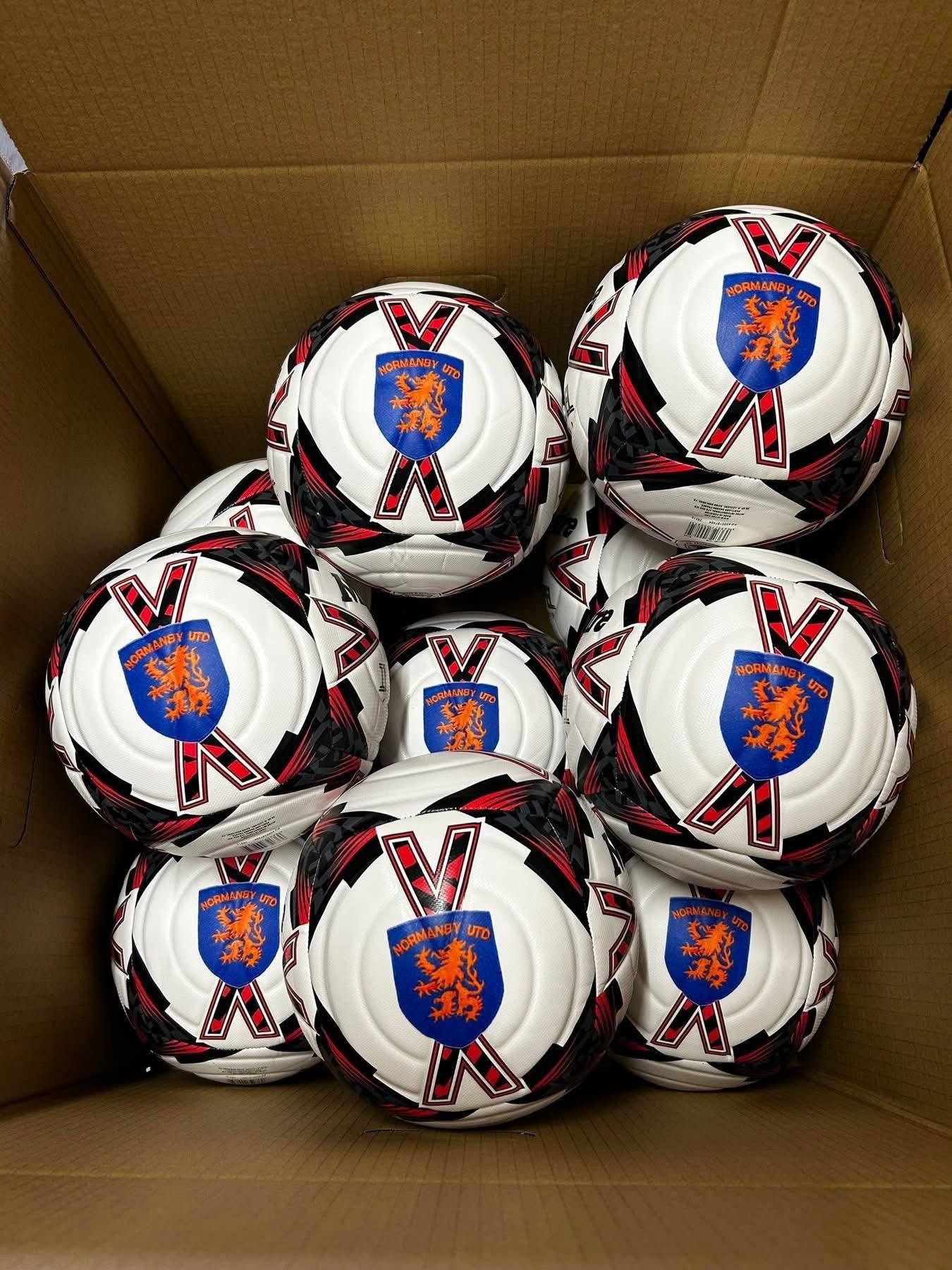 Mitre Impel Evo 24 ( Personalised