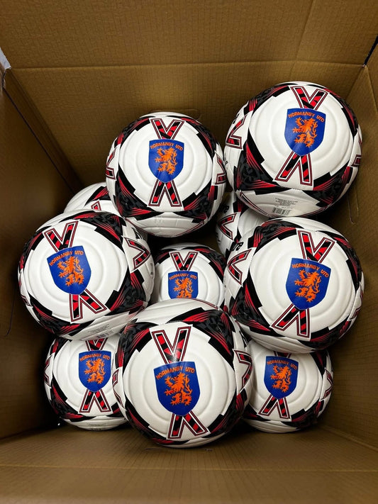 Mitre Impel Evo 24 ( Personalised