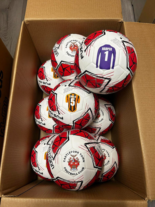 10x Precision Fusion FIFA Basic Training Ball with Free Bag