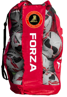 FORZA PREMIER BALL CARRY BAG (Personalised)